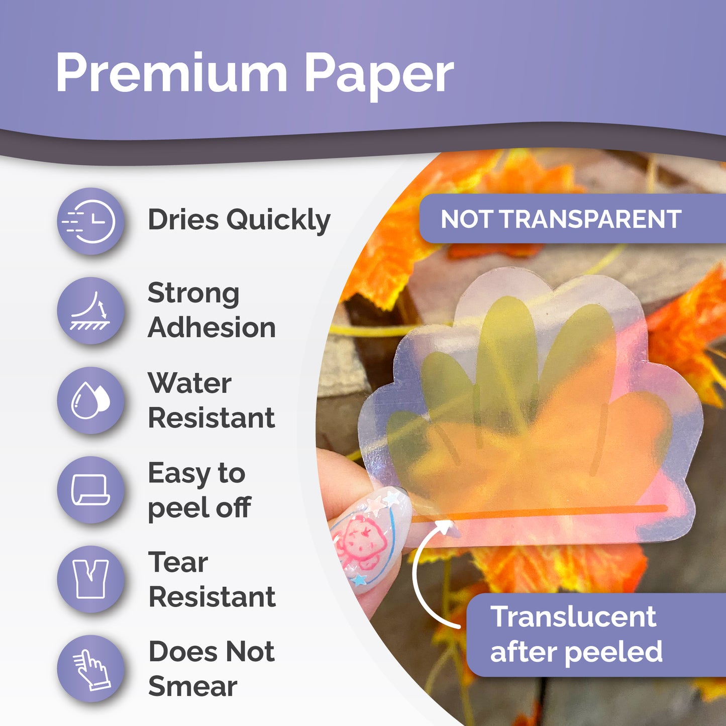 transparent sticker paper